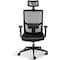 Ipower Simple Deluxe Task Office Chair Ergonomic Mesh Computer Chair FNOFFICHAIRA02BPRO - alternate 1